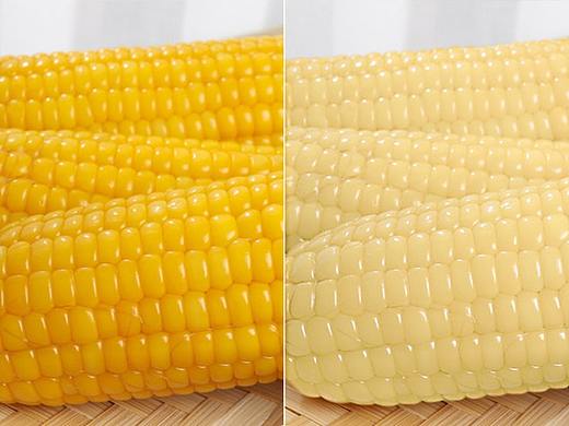 玉米调色变种类案例