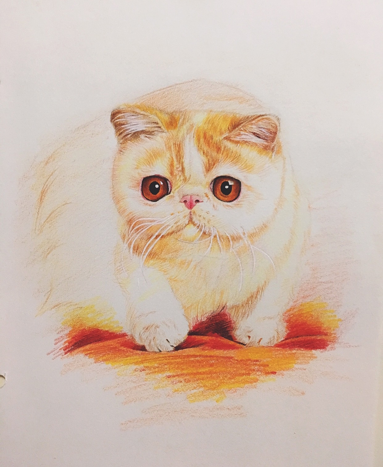 蜜汁加菲猫彩铅画