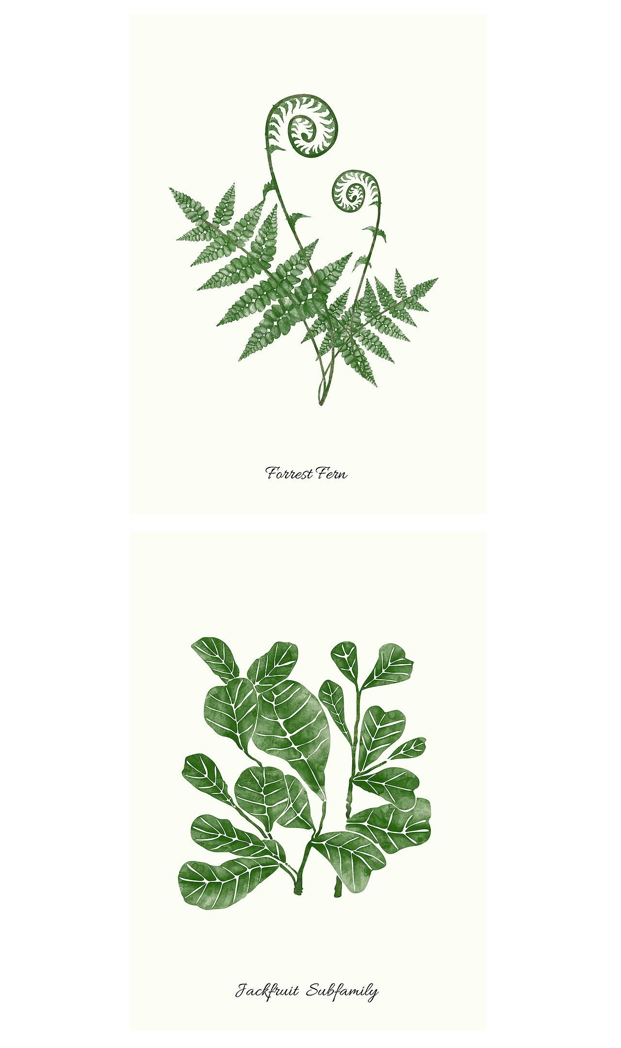 叶子插画（图ZMTI3MjQxNjQw） - 商业插画 - 站酷设计师粉沫yu原创素材 - 站酷ZCOOL