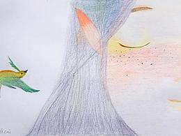 插画练习