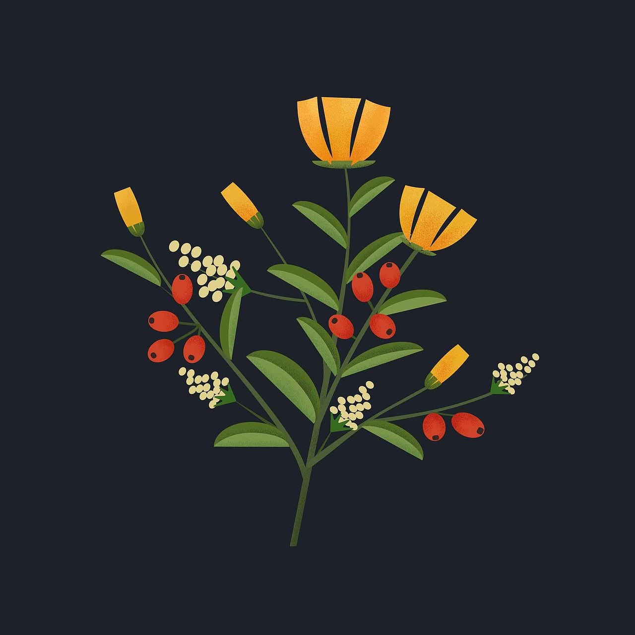 【原创插画】几何风植物花草系列