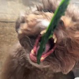 多木sam的头像