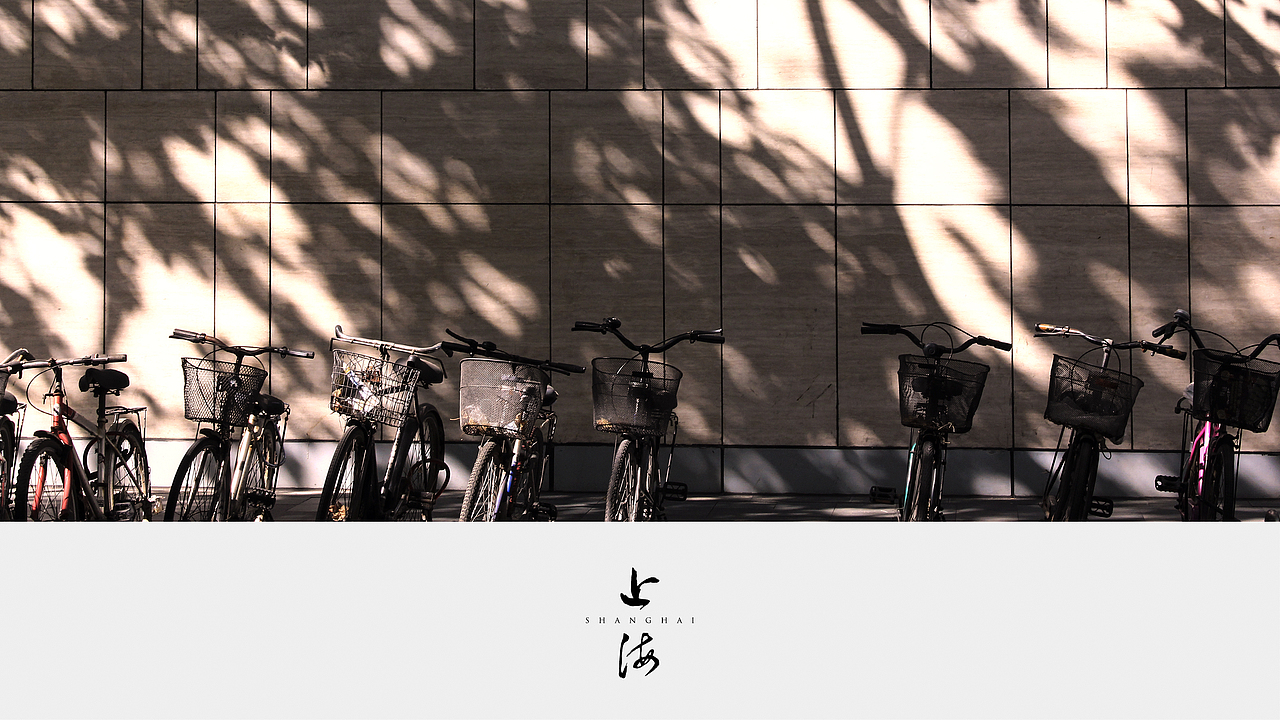 上海行(第一集)