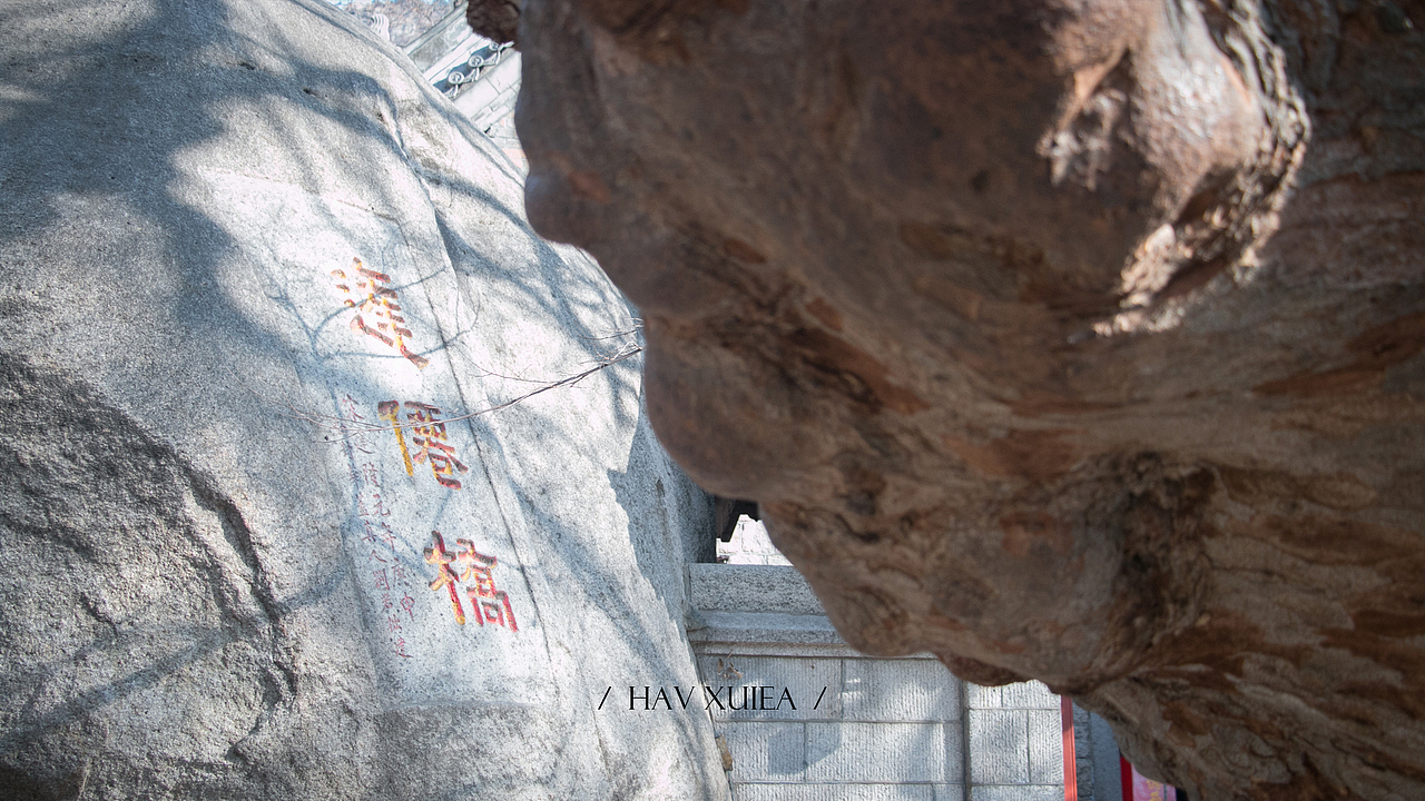 一年四季·崂山摄影（图ZMTk1Mzc5NzIw） - 风光摄影 - 站酷设计师Havxuiea原创素材 - 站酷ZCOOL