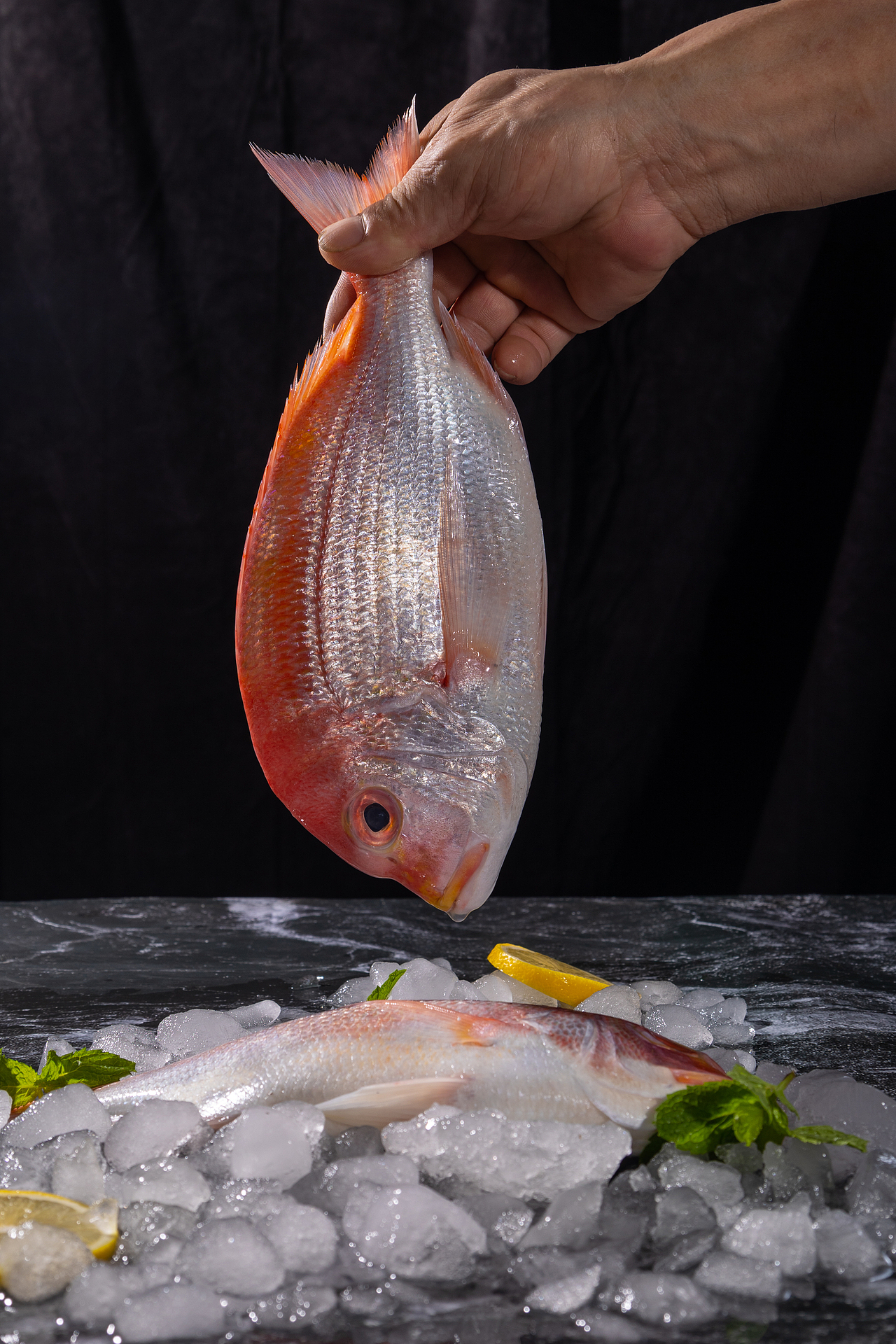 铜彭鱼（图ZMzQ3MTYyMTc2） - 产品摄影 - 站酷设计师accganjue原创素材 - 站酷ZCOOL