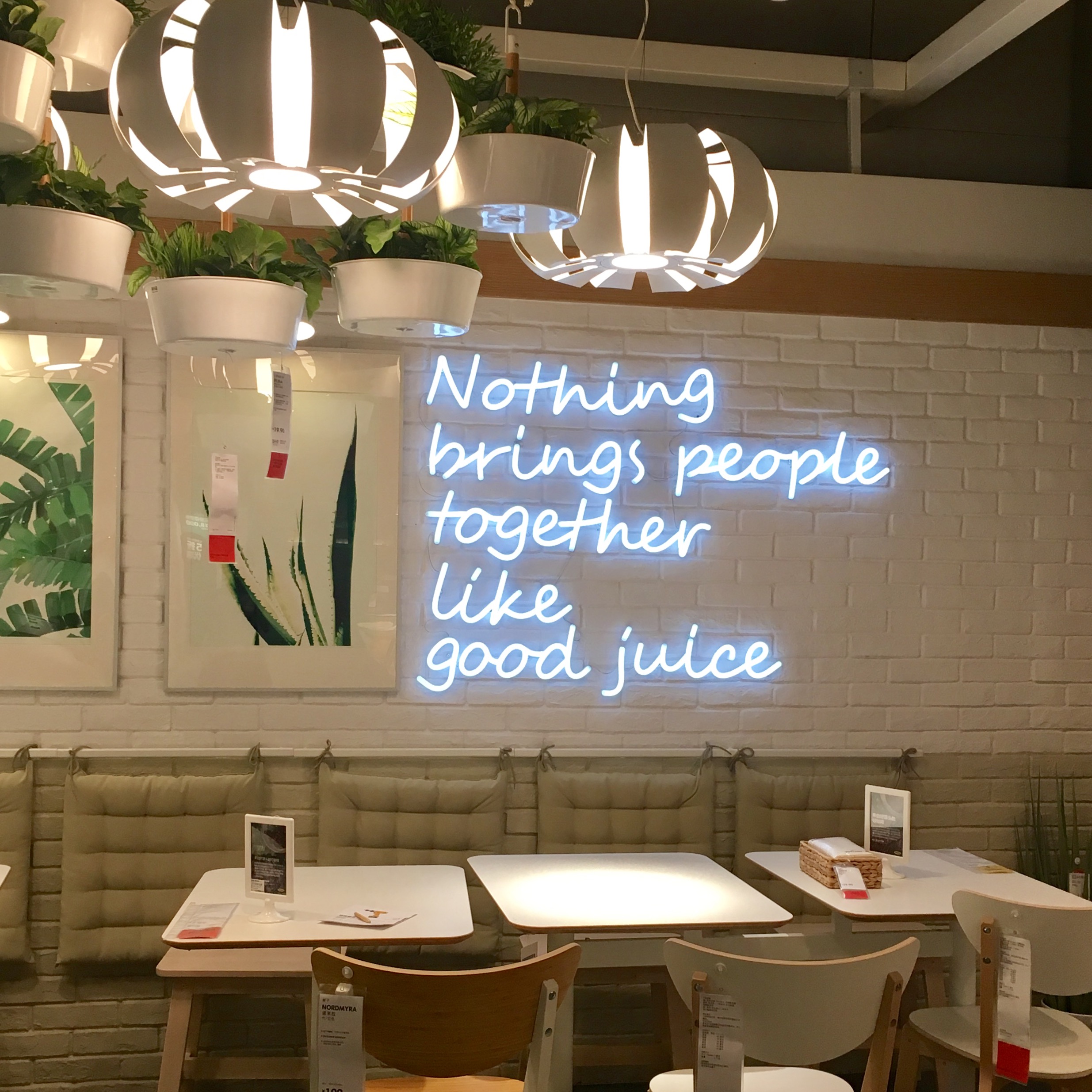 六月的雨JuneRain的个人主页（封面预览） - 主页封面设置 - 站酷设计师六月的雨JuneRain原创素材 - 站酷ZCOOL