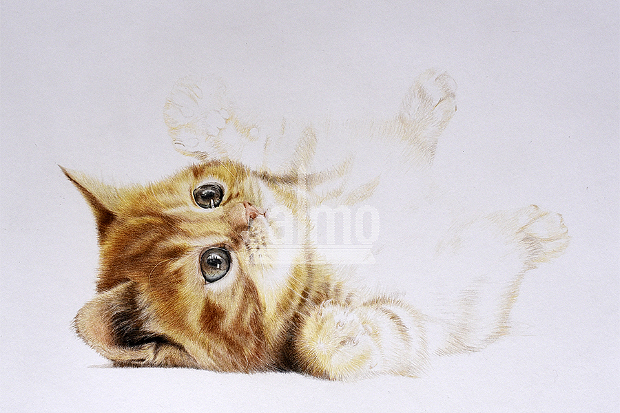 喵~（图ZNjMyNjU4OTI=） - 绘画 - 站酷设计师xuanye1836原创素材 - 站酷ZCOOL