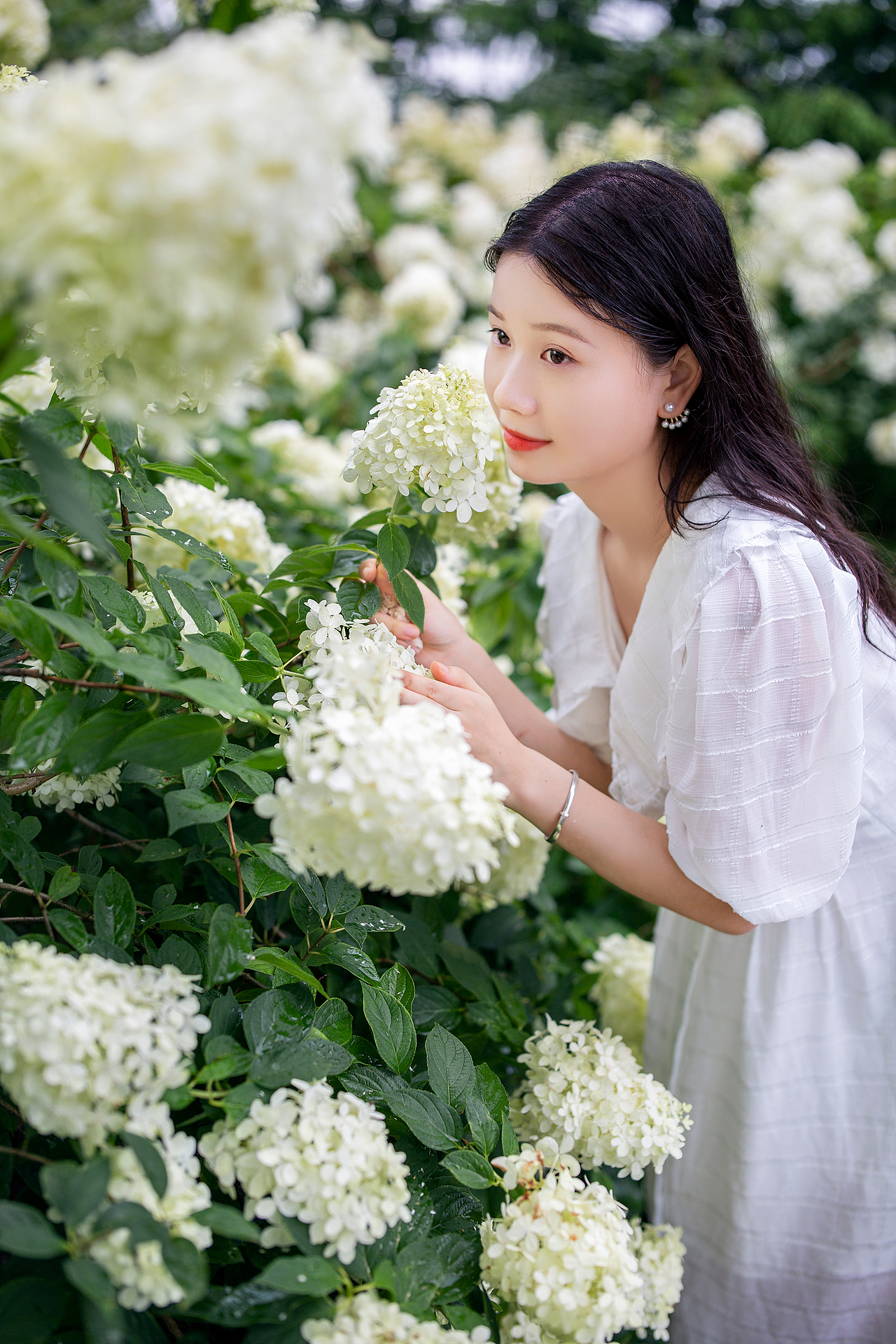 绣球花少女（图ZMjMyOTg4ODk2） - 人像摄影 - 站酷设计师阿峰爱摄影原创素材 - 站酷ZCOOL