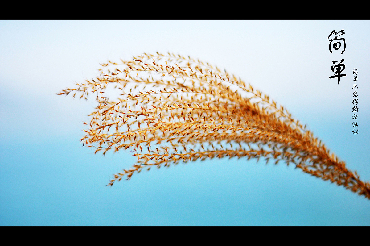 蓝色的记忆--南澳杨梅坑（图ZODAwMDE1Mg==） - 风光摄影 - 站酷设计师szuedu2005原创素材 - 站酷ZCOOL