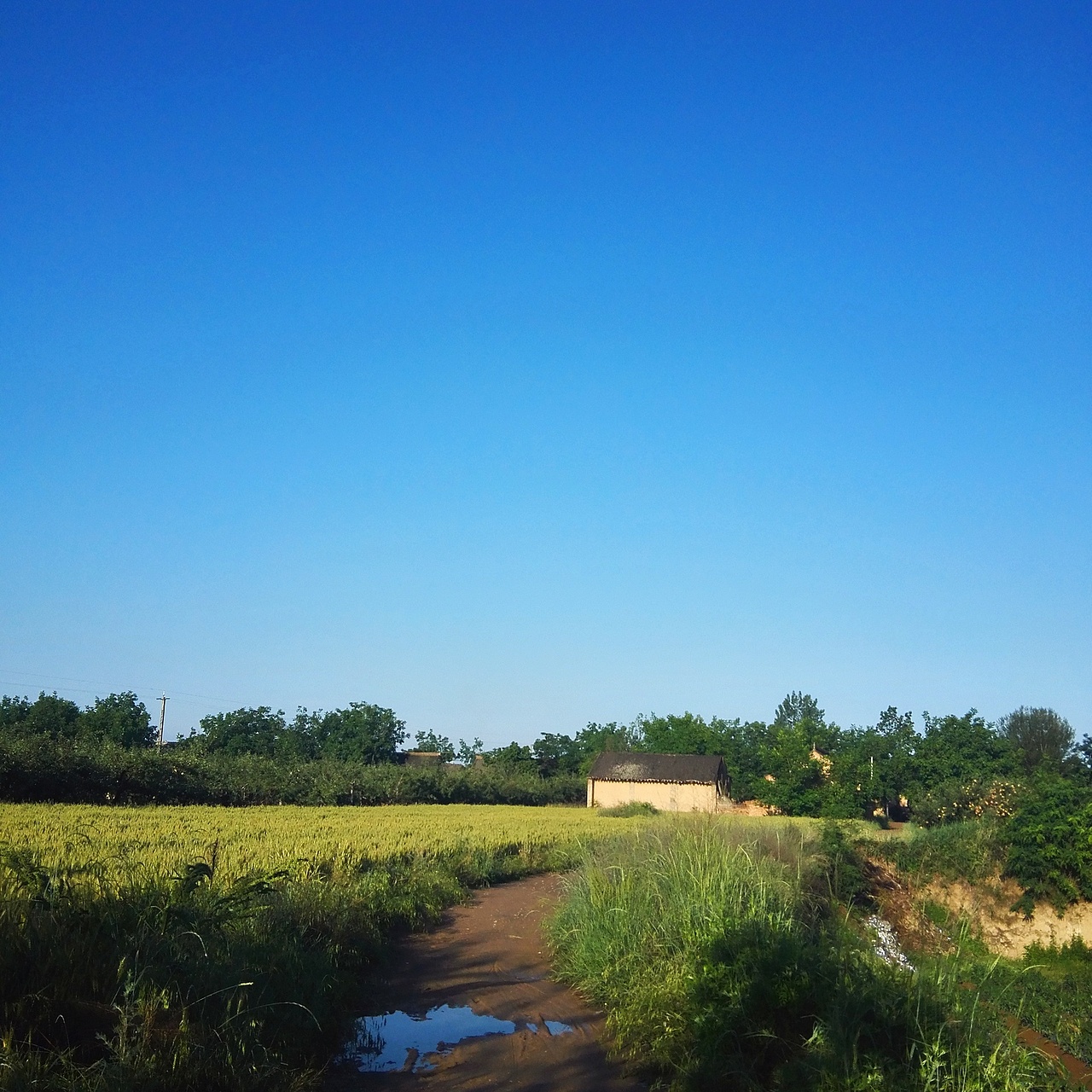 五月的一个早晨