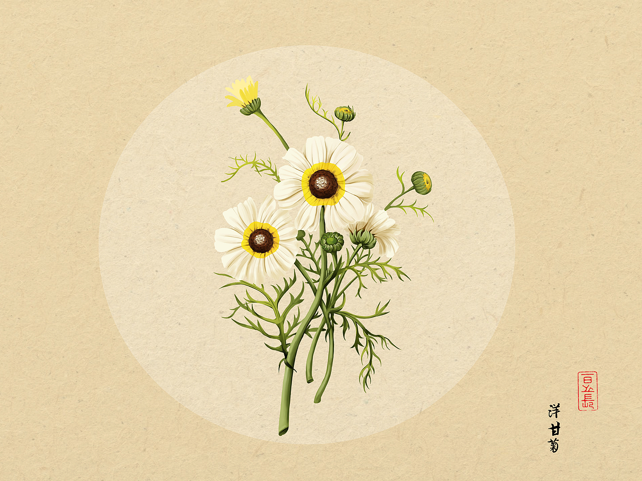 植物插画