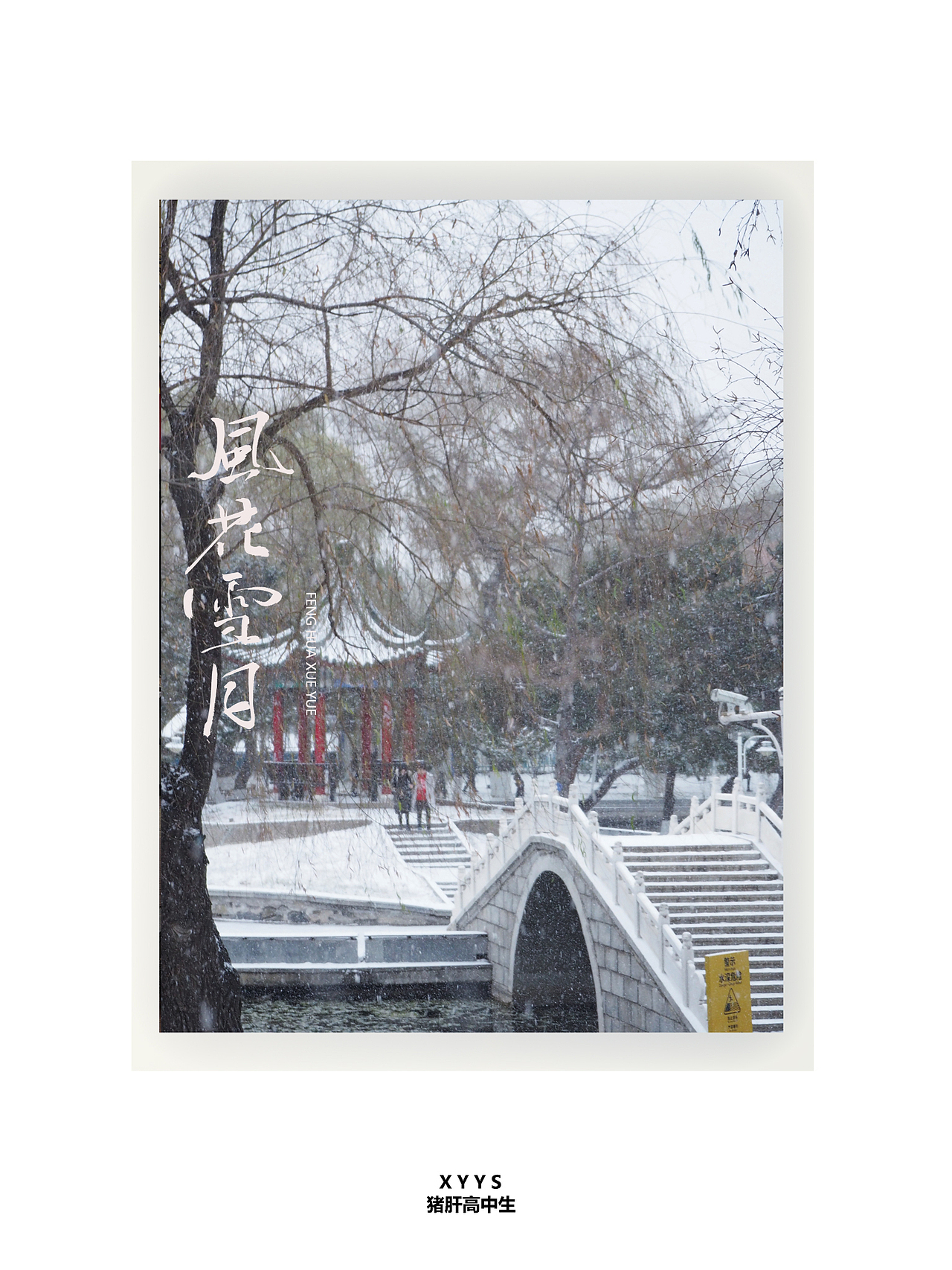 景中字 | 从身边热爱而起