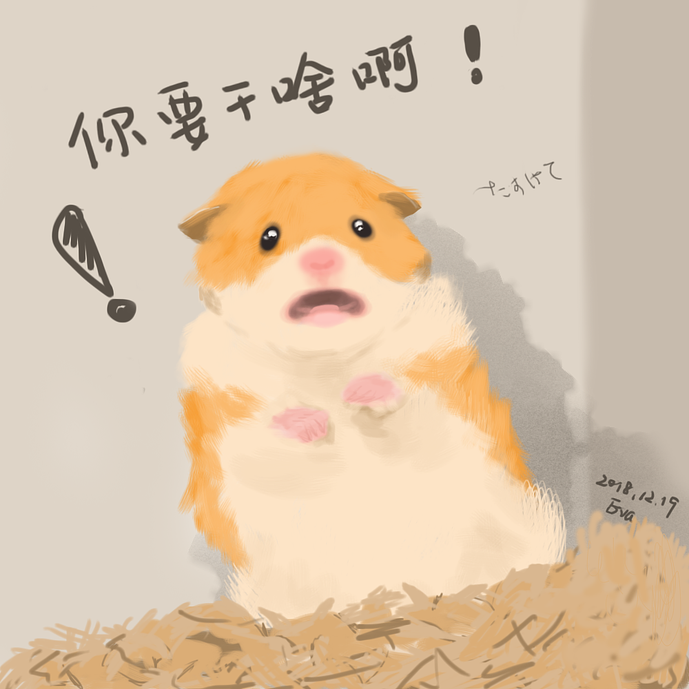 尖叫仓鼠|插画|创作习作|蓝虎斑阿奔 - 原创作品 - 站酷 (zcool)