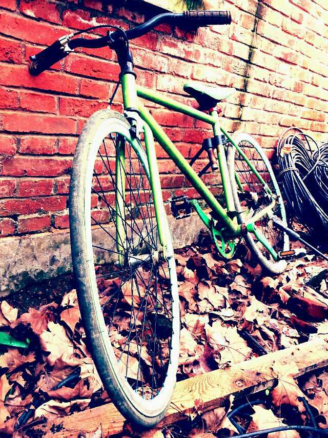 那一年，我的校园，我们的月亮岛