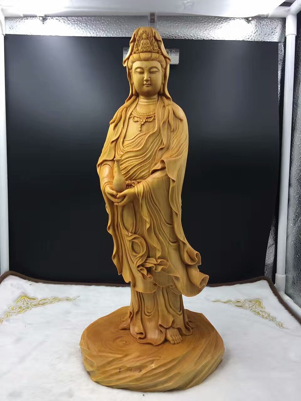 小叶黄杨·观音大士