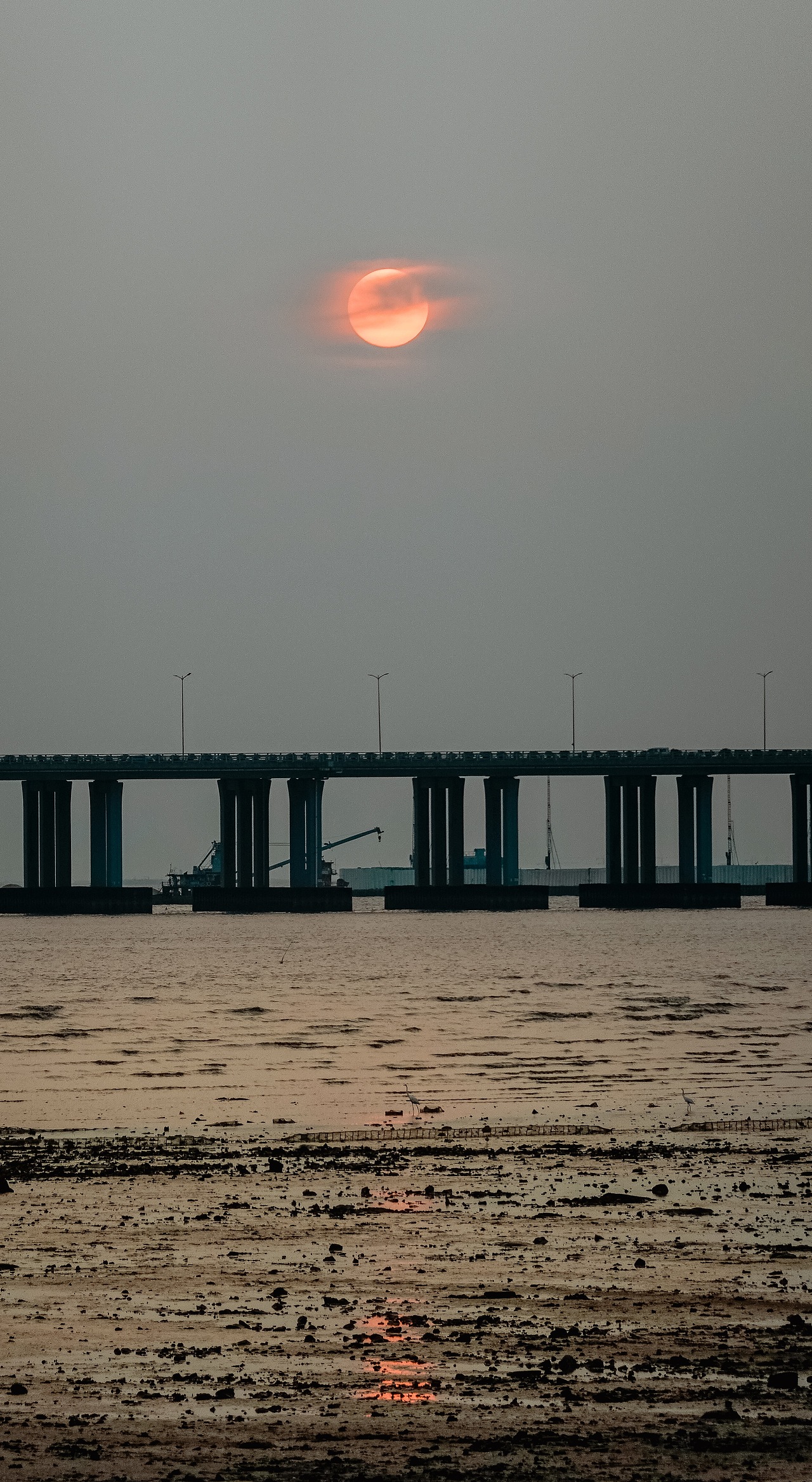 孤傲（图ZMTc2NDMyMTAw） - 人文/纪实摄影 - 站酷设计师拾光朝圣者原创素材 - 站酷ZCOOL