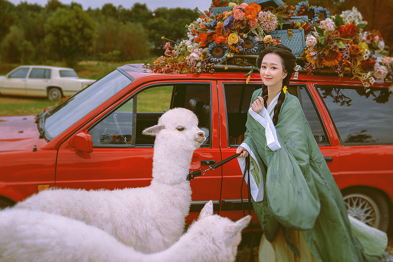 汉服少女与羊驼