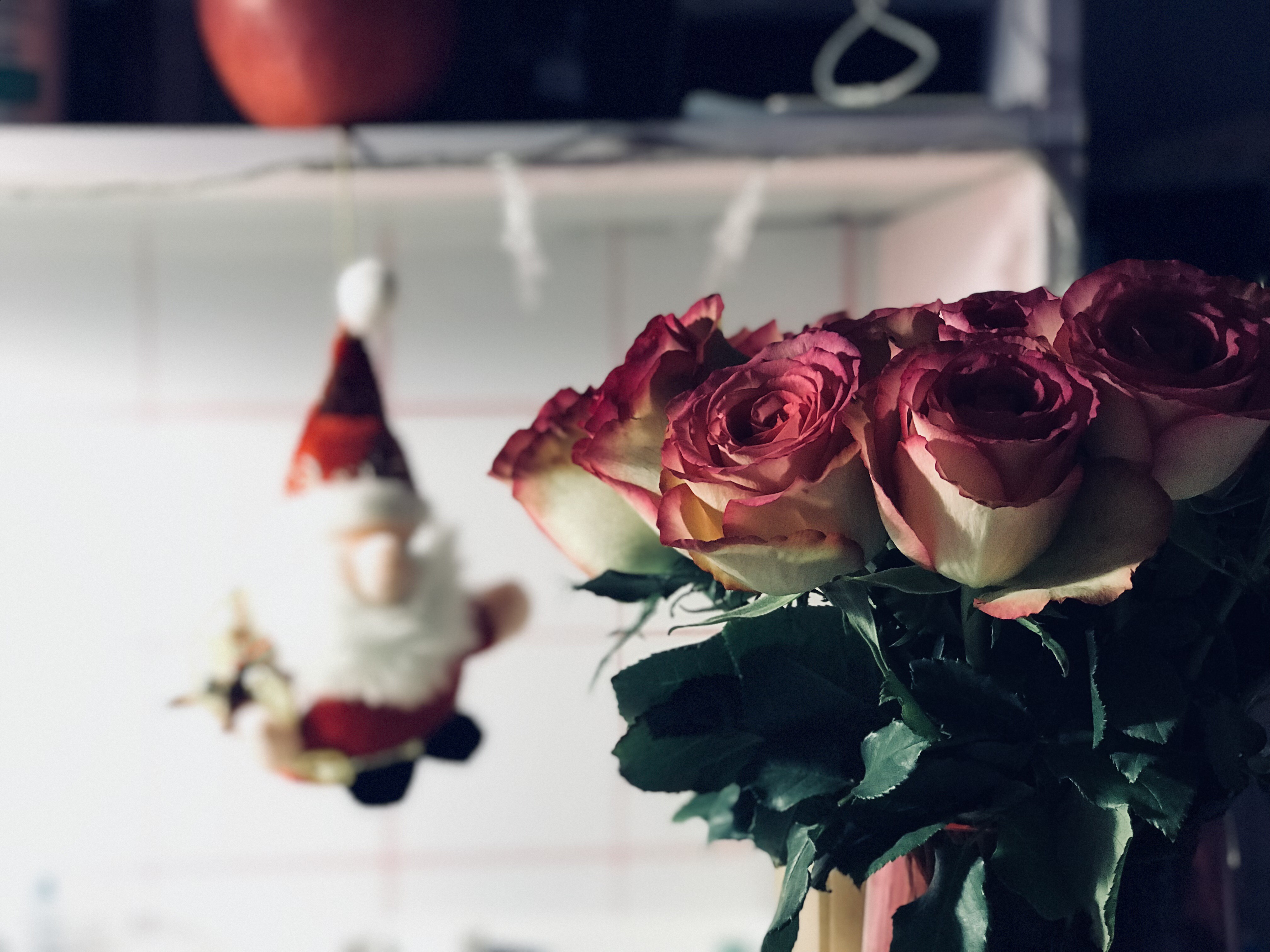 札幌的个人主页（封面预览） - 主页封面设置 - 站酷设计师札幌原创素材 - 站酷ZCOOL