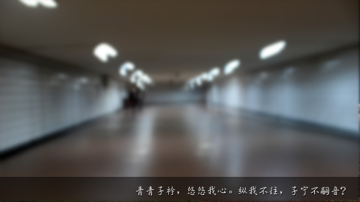 青青子衿,悠悠我心。纵我不往,子宁不嗣音?