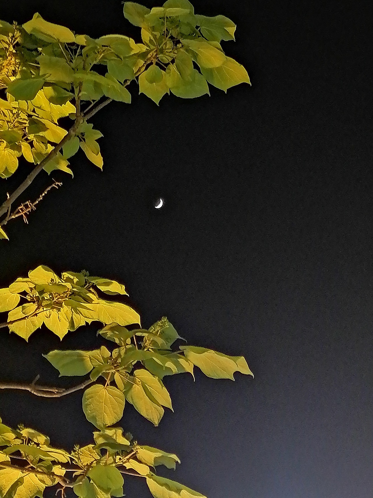 月亮|摄影|风光摄影|李礼要快乐 - 原创作品 - 站酷 (zcool)