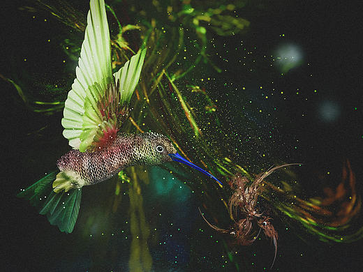 探索未知的梦境奇境，解梦鱼缸里出现众多未见过之鱼的奥秘