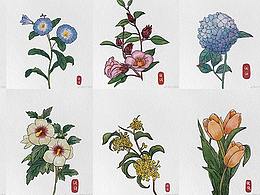 植物插画