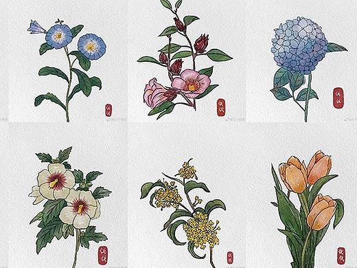 水彩花卉植物插画