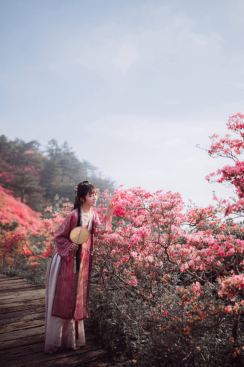 一路山花不负侬