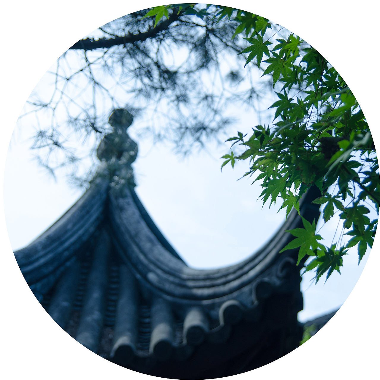 一大波苏州园林来袭（图ZMzQ3MTU4MjQ=） - 风光摄影 - 站酷设计师克拉克肯特原创素材 - 站酷ZCOOL