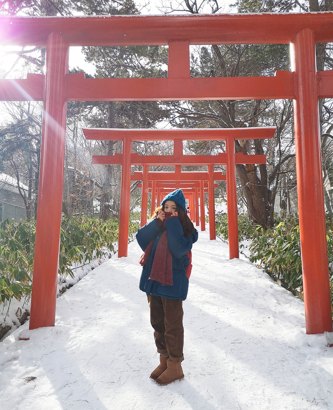 【北海道】这个大雪覆盖的札幌神社，温柔且安静。（图ZMTk2OTY2Nzcy） - 风光摄影 - 站酷设计师keke奇遇记原创素材 - 站酷ZCOOL