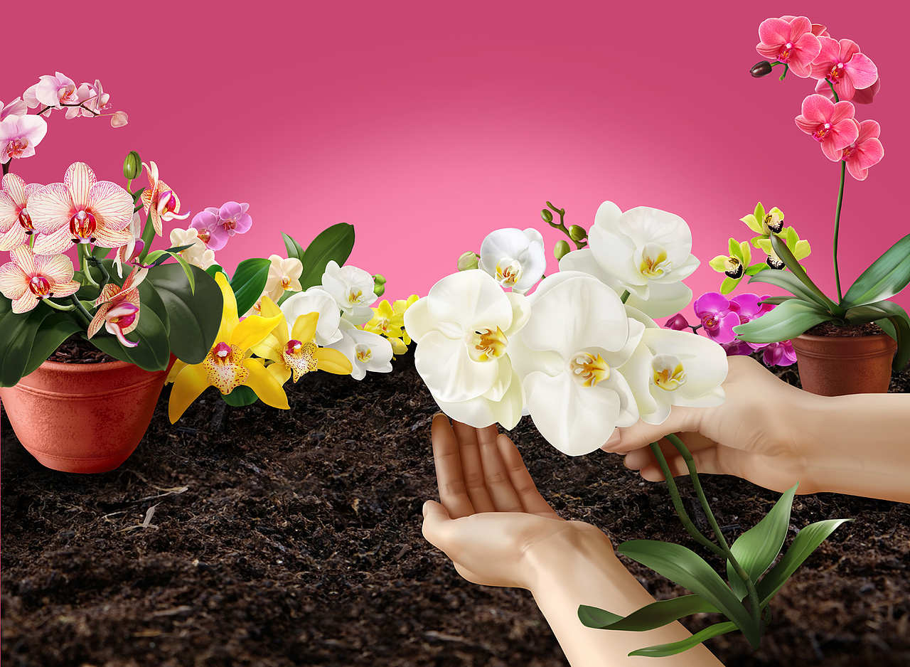 写实包装插图（图ZMTA0NTIzODA=） - 商业插画 - 站酷设计师恶奔BEN原创素材 - 站酷ZCOOL