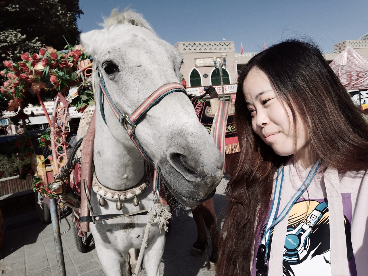 新疆喀什古城的牛牛羊羊们（图ZMTgwNjA2MjI4） - 人文/纪实摄影 - 站酷设计师吕大锤手工铺原创素材 - 站酷ZCOOL