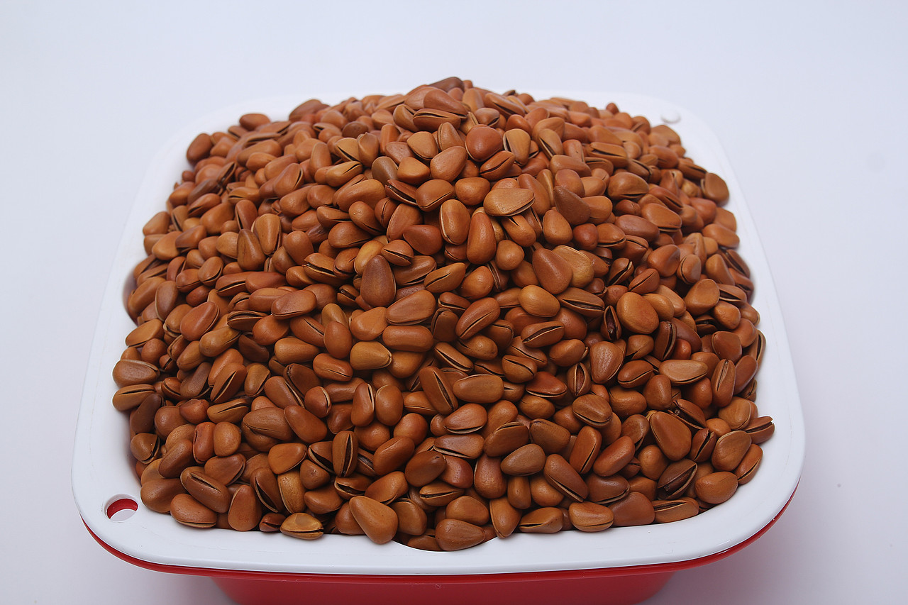 B08零食\C07-坚果炒货\V11东北松子X1-QM