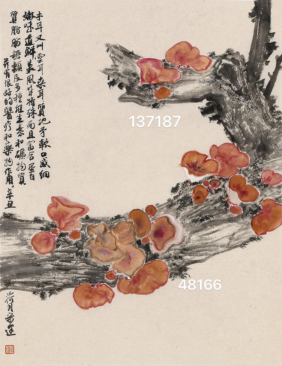 宋建花鸟画作品价格（图ZMzgyMDYzNTg4） - 绘画 - 站酷设计师艺惠藏2018原创素材 - 站酷ZCOOL