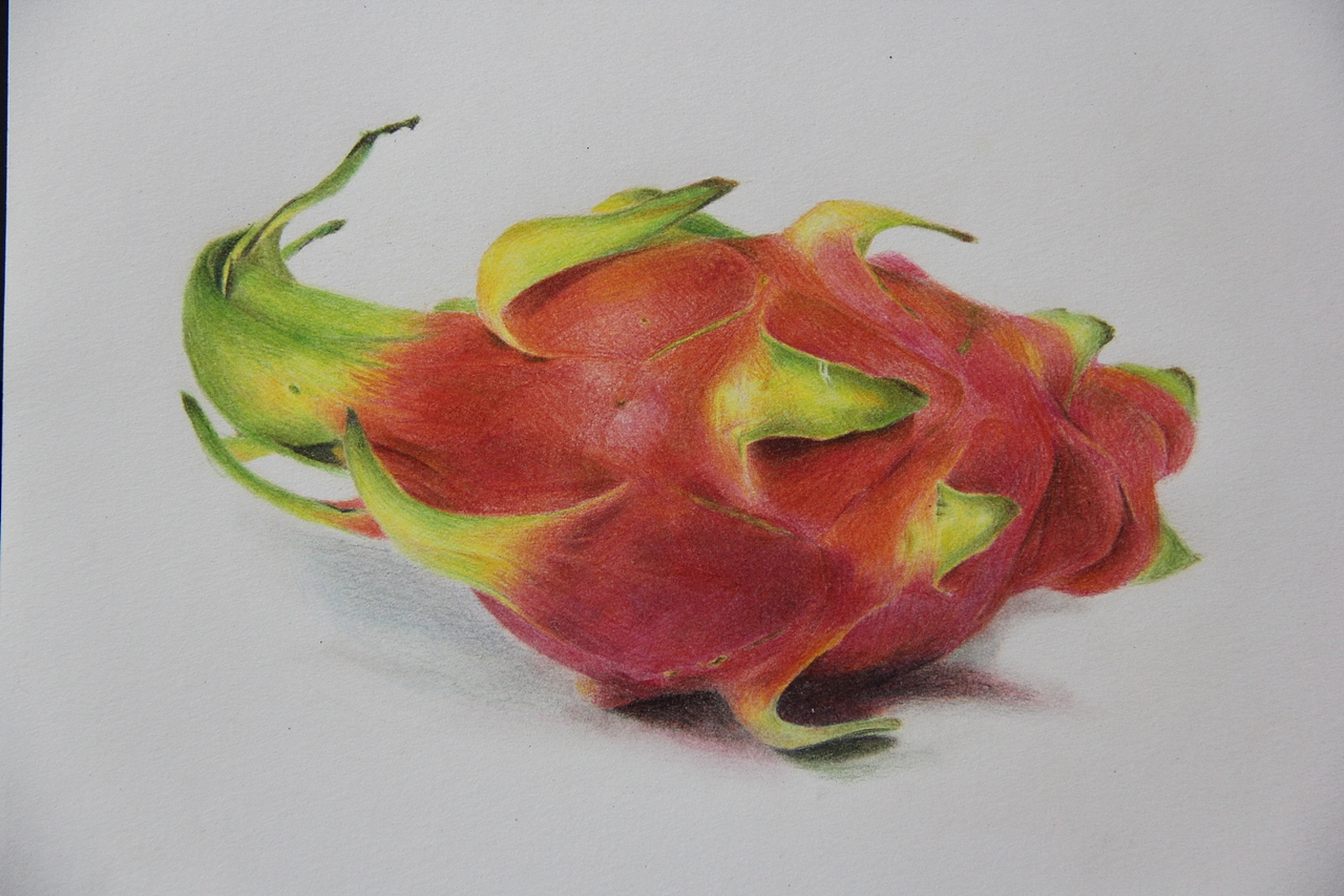冀晓伟（云际）丶彩铅画：水果系列（图ZMjUyOTQzMDg=） - 绘画 - 站酷设计师冀晓伟钢笔画原创素材 - 站酷ZCOOL
