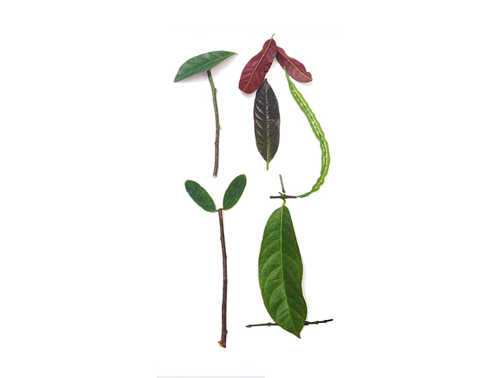 字·然（图ZODkzNDQ2MA==） - 字体/字形 - 站酷设计师沐卡卡原创素材 - 站酷ZCOOL