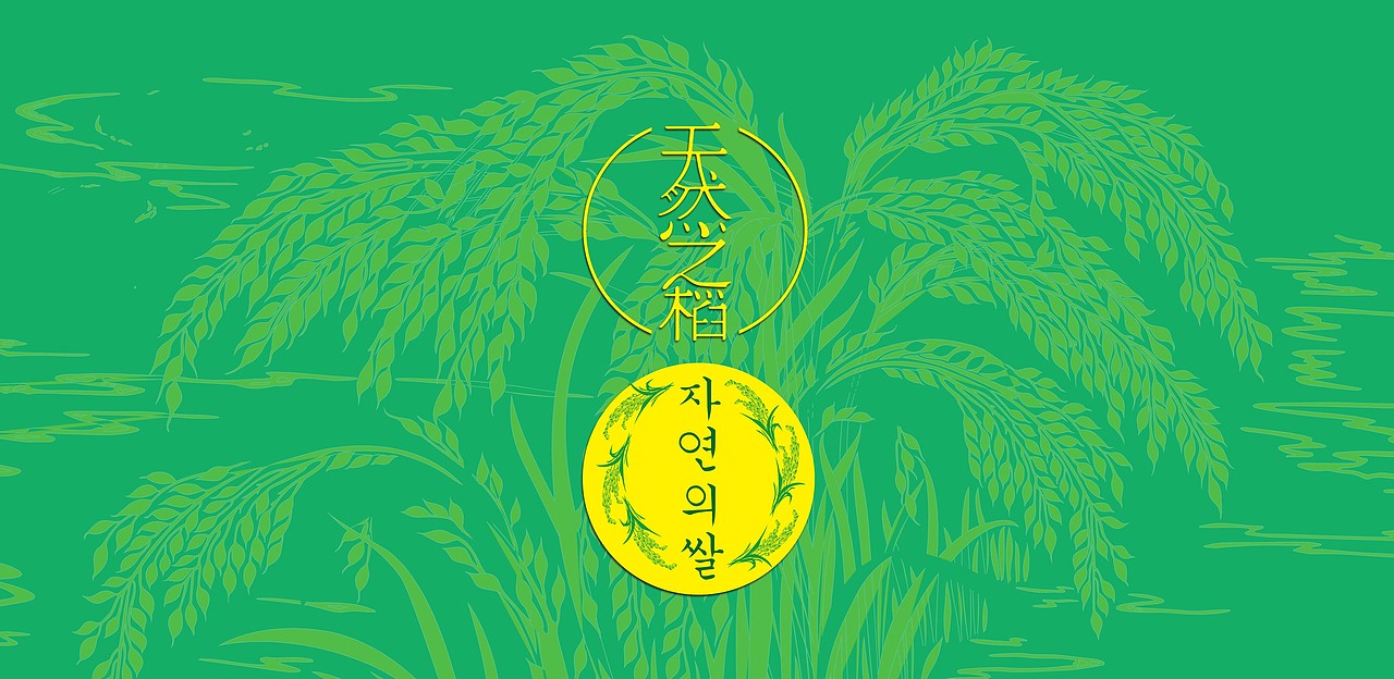 朝族米包装，天然，有机，稻田。+-（图ZMjQ1NjAyNzI=） - 包装 - 站酷设计师三寿Design原创素材 - 站酷ZCOOL