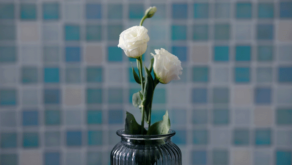 63号的快递 | 简单易学的冰饺子的独家配方