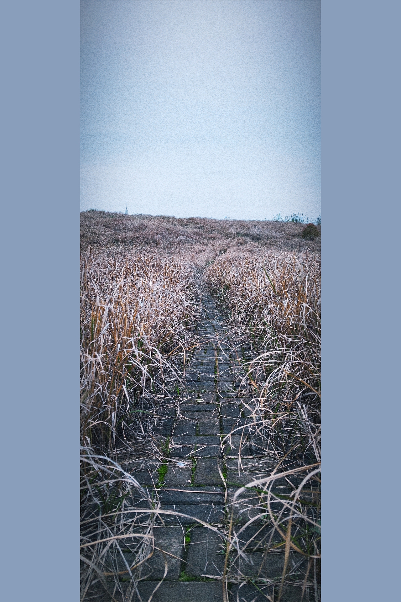 湖美（图ZMjQ5Nzc5MTky） - 人文/纪实摄影 - 站酷设计师PeachYOM原创素材 - 站酷ZCOOL