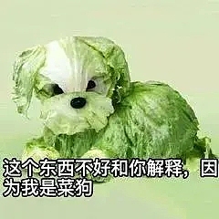 菜狗图图（图ZMjc3OTc3NjY0） - 产品 - 站酷设计师南渔渔原创素材 - 站酷ZCOOL