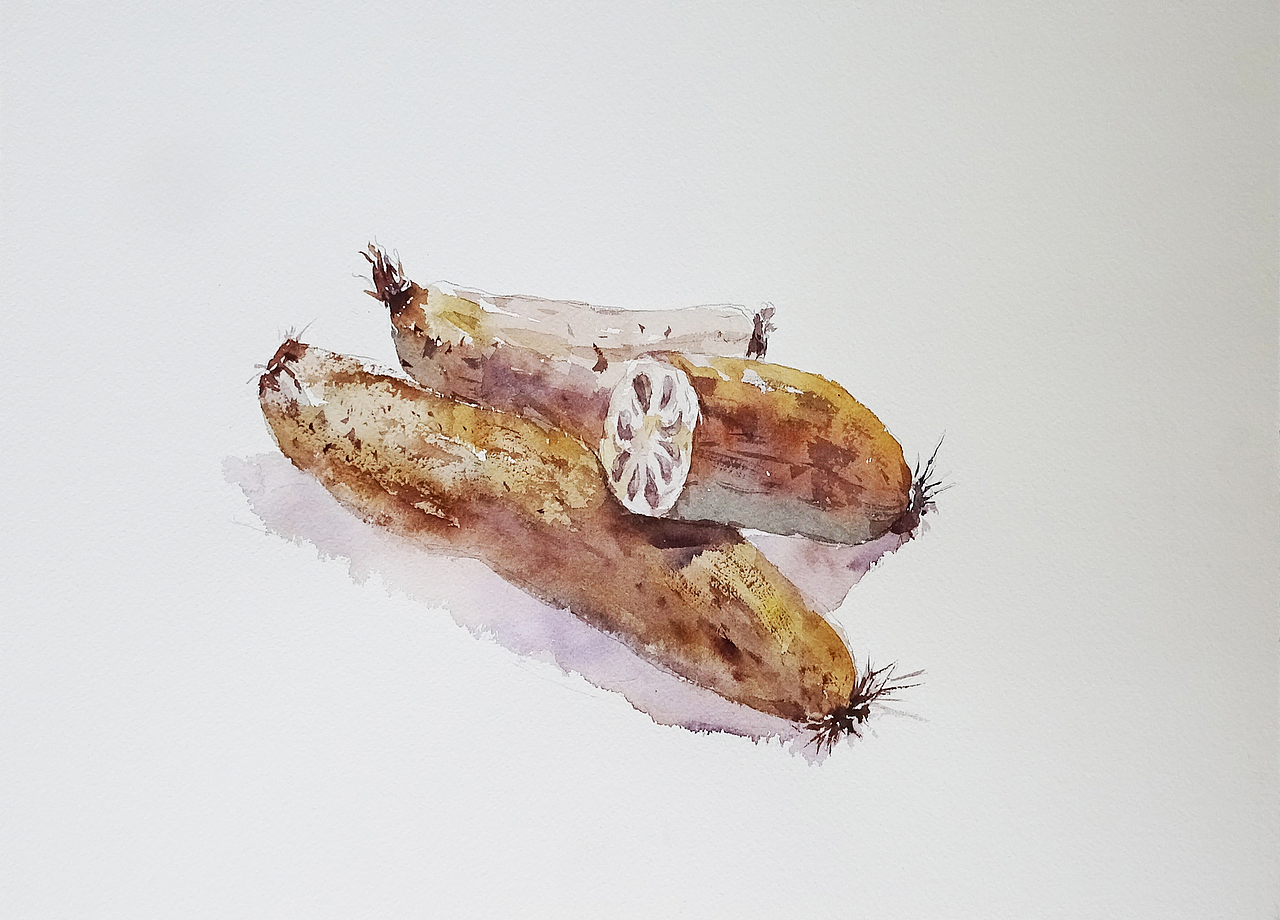 食材（图ZMTM5MTE4NTQ4） - 绘本 - 站酷设计师萃艺博课堂原创素材 - 站酷ZCOOL