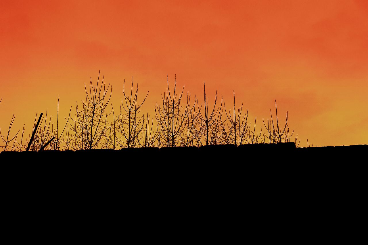 随拍（图ZMjQ4NjgzODA=） - 人像摄影 - 站酷设计师503273520原创素材 - 站酷ZCOOL