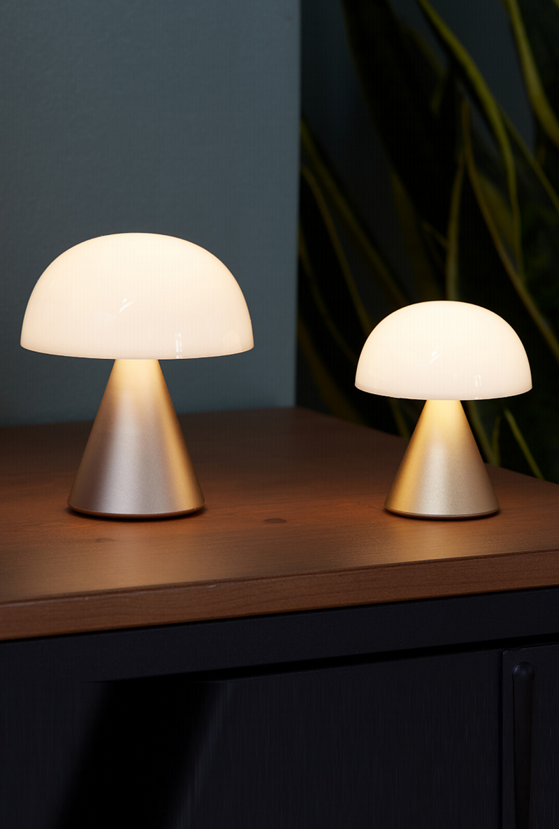 MINA 系列产品设计