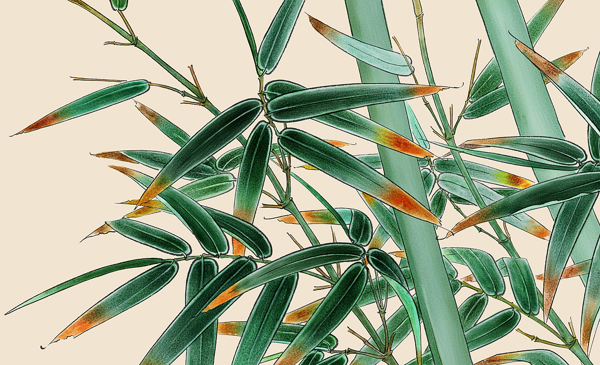纯painter软件手绘,工笔花鸟国画_青竹飞鸟图(图ZMjE4Njg1ODg=) - 绘画 - 站酷设计师凌粤轩原创素材 - 站酷ZCOOL