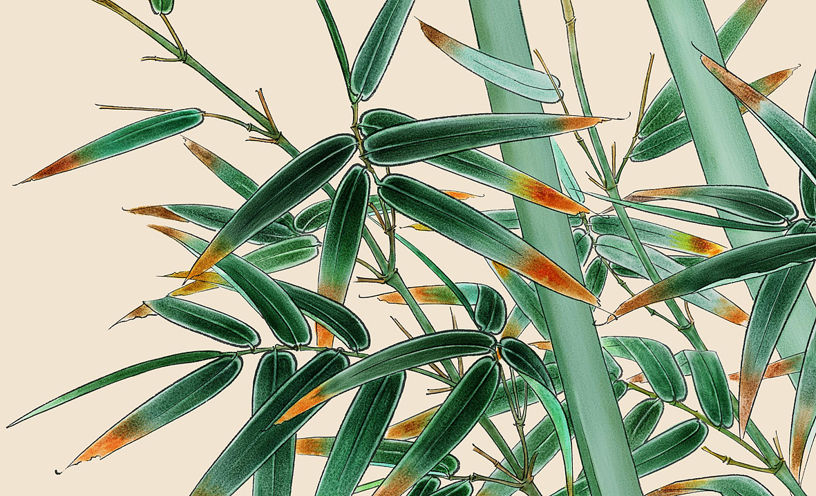 纯painter软件手绘,工笔花鸟国画_青竹飞鸟图