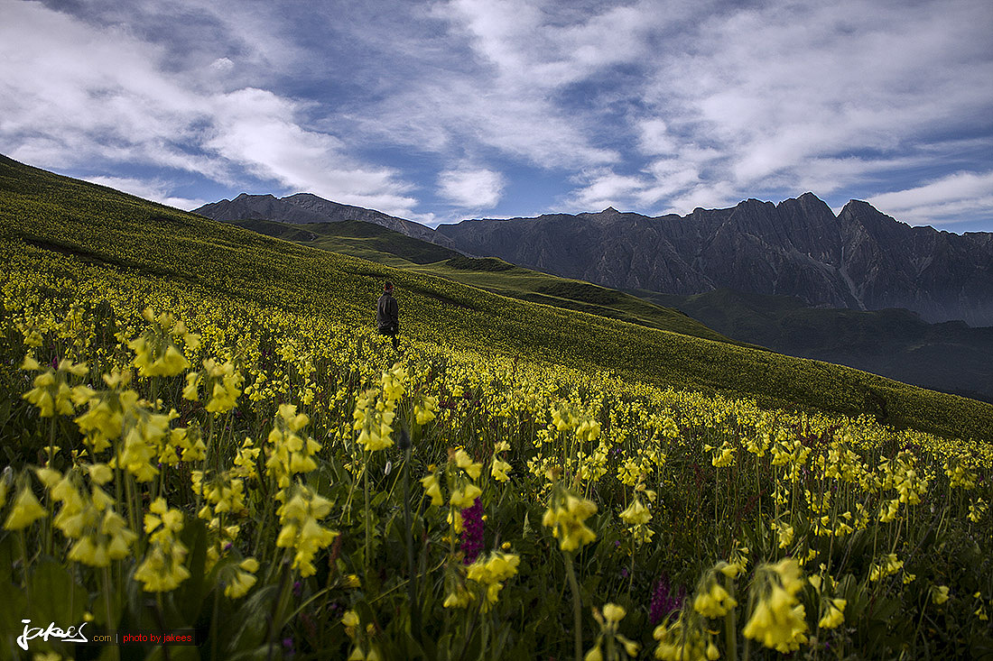 刚从深圳回四川的时候,也来登过这座山。那时候运气不太好,可没遇到这样的好天气。现在回想就是噩梦一场