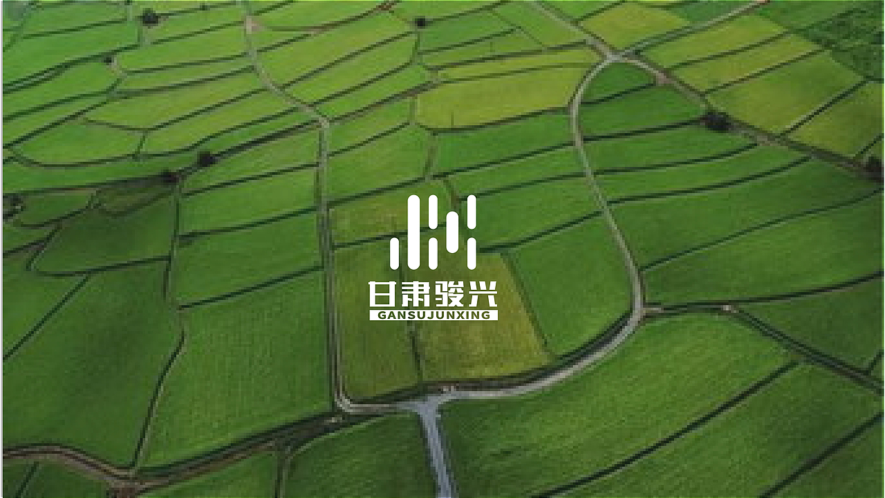 駿興農(nóng)業(yè)LOGO（飛機(jī)稿）（圖ZMjM5Mjc4NTky） - Logo - 站酷設(shè)計(jì)師不正經(jīng)的設(shè)計(jì)獅原創(chuàng)素材 - 站酷ZCOOL