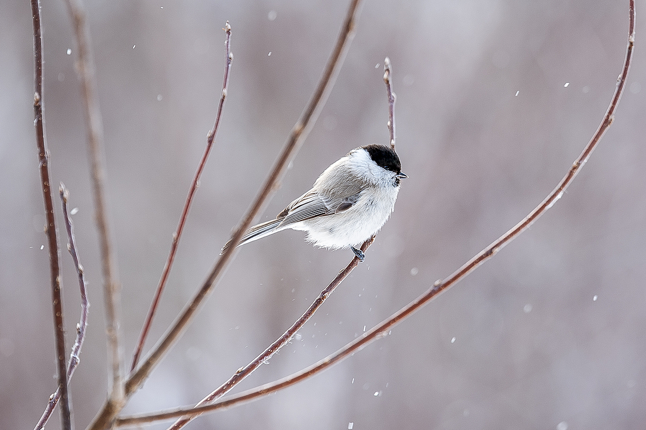 贝加尔湖（图ZMTA0MjkzNzc2） - 风光摄影 - 站酷设计师hudii原创素材 - 站酷ZCOOL