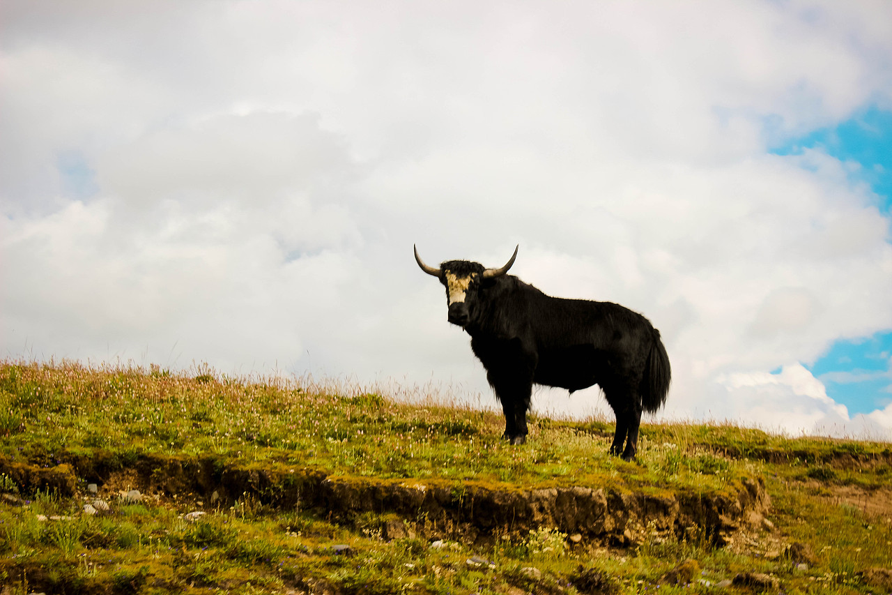 川藏线沿途风景
