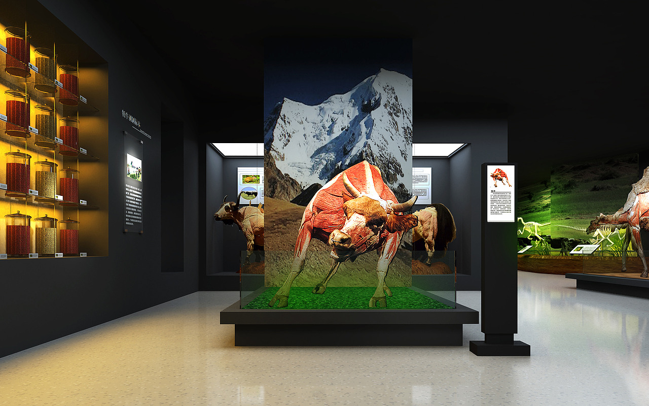 甘肃农业大学里边的一个标本馆（图ZMTM1OTEwMjk2） - 展陈设计 - 站酷设计师王伟彬原创素材 - 站酷ZCOOL